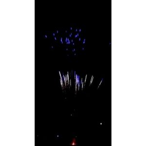 T1 Cakebox  Silver Fish Mine